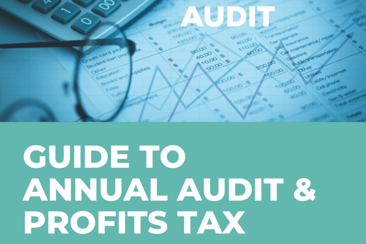 Guide to annual audit & profits tax